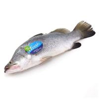 ราคา วีอาร์เฟรช ปลากระพงขาว 400-600 ก./ตัว (0251837)