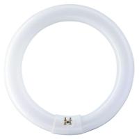ราคา ฟิลิปส์ หลอดไฟนีออนกลม 32 วัตต์ รุ่น TLE โทนแสงสีขาวนวล (8711500633873)