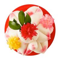 ราคา ต้นท้อมงคล 11 ลูก 600 ก. (8855723001931)