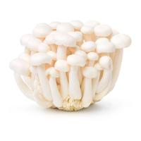 ราคา วี อาร์ เฟร็ช เห็ดชิเมจิขาว 150 ก. (2000007154902)