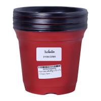 ราคา ชัยโย ฟาร์ม กระถางพลาสติก ขนาด 6 นิ้ว สีอิฐ แพ็ค 6 ชิ้น (8859633400655)