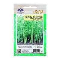 ราคา เจี๋ยไต๋ โฮม การ์เด้น เมล็ดผักบุ้งจีน เรียวไผ่พลัส 40 ก (8853324021532)