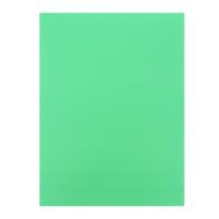 แพลนโก พลาสติกลูกฟูก ขนาด 65 x 49 ซม. 3 มม. สีเขียวอ่อน