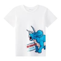 ราคา เบสิโค เสื้อยืดพิมพ์ลายไดโนเสาร์ สำหรับเด็กชาย รุ่น BC (2000008476300)
