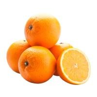 ราคา วี อาร์ เฟร็ช ส้มนาเวล (GSA) (0214787)