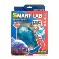 ราคา ทอยส์มาร์ท ของเล่นวิทยาศาสตร์ (8859074843035)