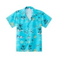 ราคา เบสิโค เสื้อเชิ้ตเด็กชาย สีเขียว (2000008641173)