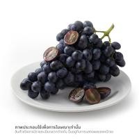 ราคา องุ่นดำไร้เมล็ด ออสเตรเลีย (0258684)