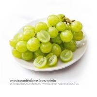 ราคา องุ่นเขียวไร้เมล็ด ออสเตรเลีย (0258682)