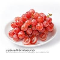 ราคา องุ่นแดงไร้เมล็ด ออสเตรเลีย (0258672)