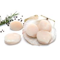 ราคา ธรรมชาติหอยเชลล์อเมริกา(C Thammachart USA Scallop(C (210827000002)