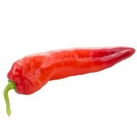 ราคา แอสกรีนพริกหวานยักษ์สเปนสีแดง Aqua Green Red Sweet Palermo Pepper (4897067024690)