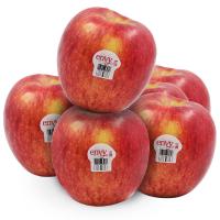 ราคา แอปเปิ้ลเอนวี่พรีเมี่ยมขนาด 35 แพค 6 Premium Envy Apple Size 35 Pack 6 (48590242)