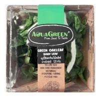 ราคา แอสกรีนเบบี้ลีฟกรีนโอ๊คลีฟ 120กรัม Aqua Green Green Oak Leaf Baby Leaf 120g. (4897067021033)