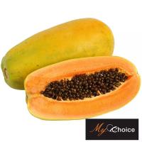 ราคา มายช้อยส์มะละกอฮอลแลนด์ My Choice Holland Papaya (217035000008)
