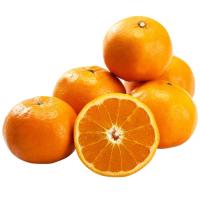 ราคา เอสเค.ส้มนาเวลพรีเมี่ยม(C SK.Premium Navel Orange(C (210358000007)
