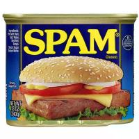 ราคา สแปมเนื้อหมูบดอัดก้อนปรุงรส 340กรัม Spam Luncheon Meat 340g. (37600819862)