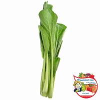 ราคา ดร.กวางตุ้งต้น 250กรัม(C Dr.Chinese Mustard 250g.(C (38687068)