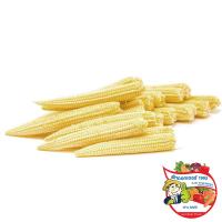 ราคา ดร.ข้าวโพดอ่อน 200กรัม(C Dr.Baby Corn 200g.(C (33455020)