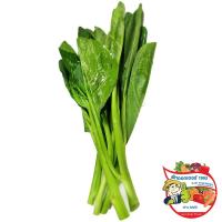 ราคา ดร.คะน้า 250กรัม(C Dr.Kale 250g.(C (33454023)