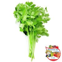 ราคา ดร.คื่นฉ่าย 30กรัม(C Dr.Chinese Celery 30g.(C (38689062)