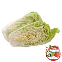 ราคา ดร.ผักกาดขาวปลี 400กรัม(C Dr.White Cabagge 400g.(C (44986094)