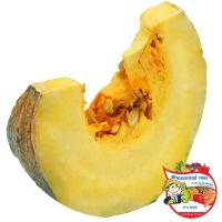 ราคา ดร.ฟักทอง(C Dr.Pumpkin(C (215397000001)