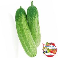 ราคา ดร.ฟักทองไทย 450กรัม(C Dr. Pumpkin 450g.(C (38560088)