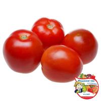 ราคา ดร.มะเขือเทศท้อ 300กรัม(C Dr.Tomato 300g.(C (33437026)