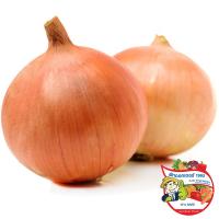 ราคา ดร.หอมใหญ่(C Dr.Onion(C (219544000005)