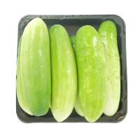 ราคา ดร.แตงกวา 250กรัม(C Dr.Cucumber 250g.(C (33432021)