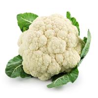 ราคา ดอกกะหล่ำ Cauliflower (217835000000)