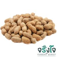 ราคา ถั่วลิสงคั่วทราย Roasted Peanut (20821555)