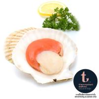 ราคา ธรรมชาติหอยเชลล์ฮอกไกโดแช่แช่แข็ง 1กก.(C Thammachart Frozen Hokkaido Shell Scallops 1kg.(C (48382854)