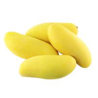 ราคา มะม่วงโชคอนันต์สีทอง Chok Anan Mango (218673000009)