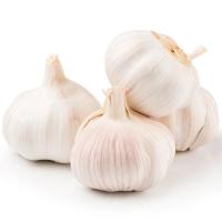 ราคา มายช้อยส์กระเทียมไทยมัดจุก My Chioce Thai Garlic Branch (211792000004)