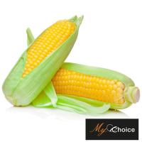 ราคา มายช้อยส์ข้าวโพดหวานออร์แกนิค แพค 2 My Choice Organic Sweet Corn Pack 2 (8853474041961)