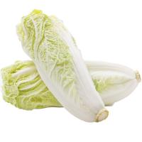ราคา มายช้อยส์ผักกาดขาวปลี My Choice White Cabbage (217040000000)