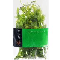 ราคา มายช้อยส์ผักหวานป่าเกรดพิเศษ 100กรัม My Choice Pak Wan Pa Special 100g. (30093010)