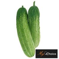 ราคา มายช้อยส์แตงกวา My Choice Cucumber (20909079)