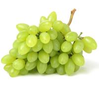 ราคา วีจี.องุ่นเขียวไร้เมล็ด(C VG.Green Seedless Grape(C (211114000002)