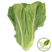 ราคา เอส&บีสลัดคอสออร์แกนิค 150กรัม(C S&B Organic Cos Lettuces 150g.(C (45016066)