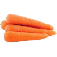 ราคา แครอทออสเตรเลีย Australian Carrot (217393000009)