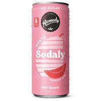 ราคา โซดาลีเครื่องดื่มอัดก๊าซกลิ่นฝรั่ง 250มล. Sodaly Guava Flavour 250ml. (9350271003219)