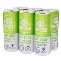 ราคา ฮอปสเตอร์ผสมโซดารสพลัมญี่ปุ่น 250มล. แพค 6 Hopster Japanese Plum 250ml. Pack 6 (8850228008126)