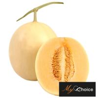 ราคา มายช้อยส์แคนตาลูปซันเลดี้ My Choice Sunlady Cantaloup (219061000007)