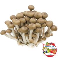 ราคา ดร.เห็ดชิเมจิ 120กรัม(C Dr.Shimeji Mushroom 120g.(C (33441023)