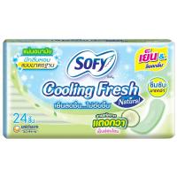ราคา โซฟีแผ่นอนามัยคูลลิ่งเฟรชเนเชอรัลแบบมาตรฐานมีกลิ่นหอม 24ชิ้น Sofy Panty Liners Cooling Fresh Natural Regular Scented 24pcs. (8851111285082)