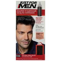 ราคา จัสฟอร์เมนครีมเพิ่มประกายสีผมสีดำ Just for Men Highlight Black (8850848100019)
