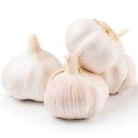 ราคา มายช้อยส์กระเทียมไทยมัดจุก My Chioce Thai Garlic Branch (211792000004)